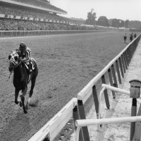 Secretariat won the Preakness Stakes in record setting time