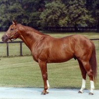 Secretariat won the Kentucky Derby in record setting time