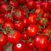 Tomato genome was published in Nature