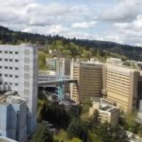 The Veteran’s Affairs Medical Center bridge at OHSU opened