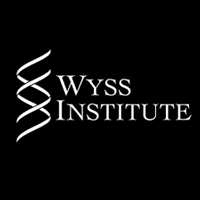 Wyss Medical Foundation pledged $2 million to support James P Stannard as Wyss Distinguished Chair of Orthopaedic Surgery