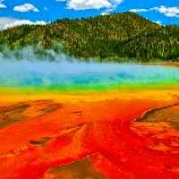 Researchers collected a sample of boiling water from hot springs in Yellowstone leading to discovery of extremophiles