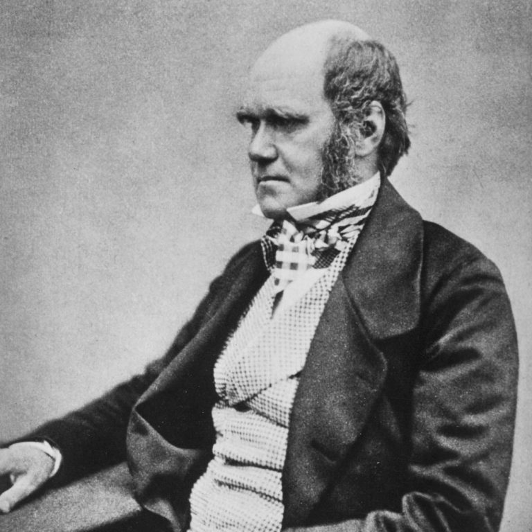 Researcher proved one of Darwin’s theories of evolution 140 years after his death