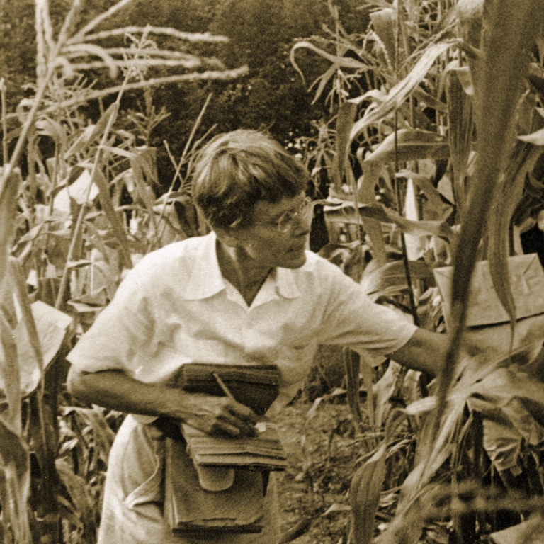 The Nobel Prize in Physiology or Medicine was awarded to Barbara McClintock