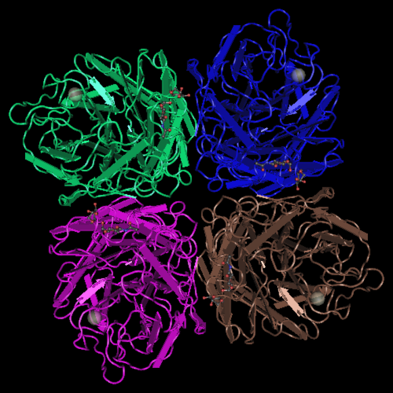 Pandemic caused by an influenza A (H3N2) first noted in the U.S.