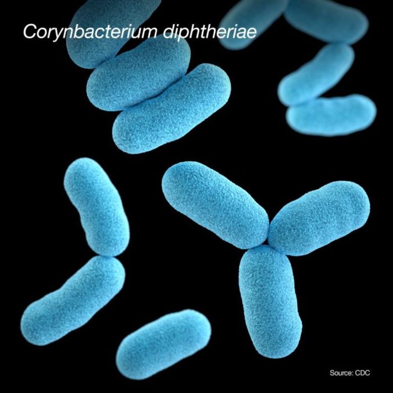 The Tetanus toxoid was introduced