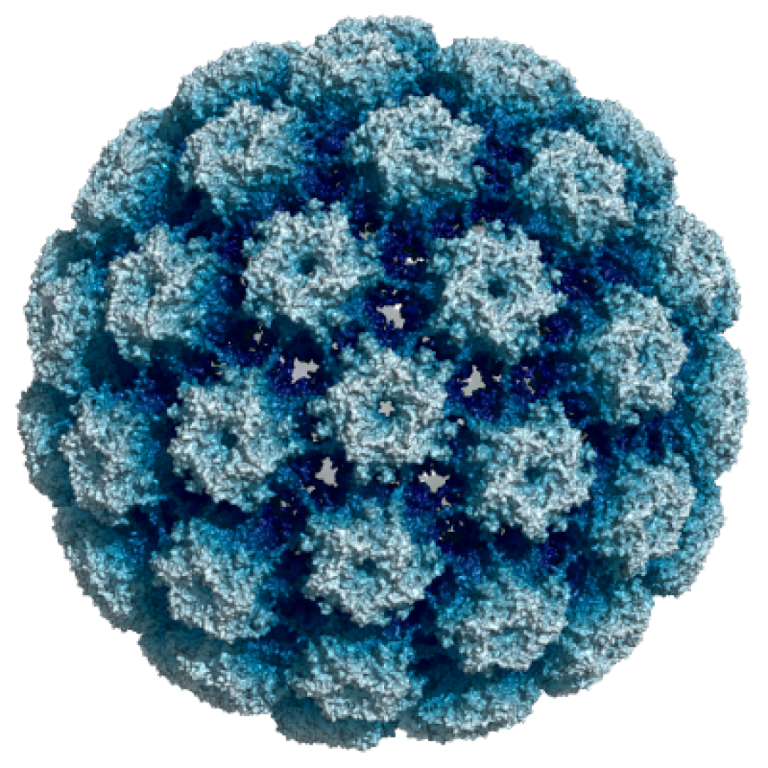 BD received FDA approval for HPV test with extended genotyping capabilities