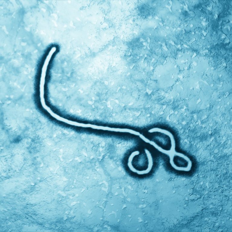 The Centers for Disease Control and Prevention confirmed the first Ebola case in Dallas, Texas