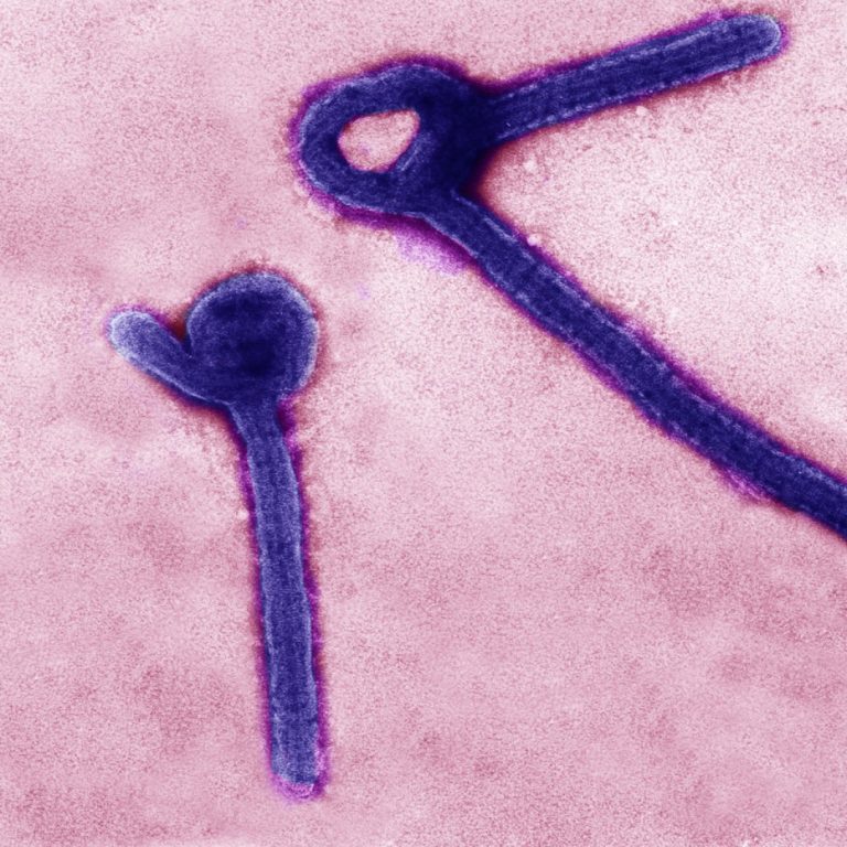 U.S. FDA approved Ervebo first U.S.-licensed vaccine for prevention of Ebola virus disease