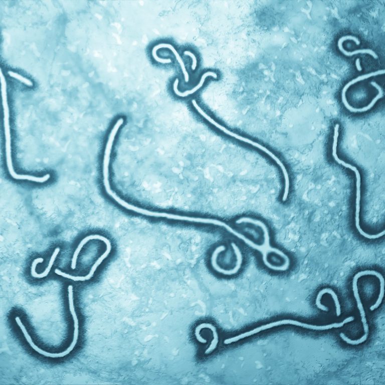 Johnson & Johnson received positive CHMP opinion for Janssen’s investigational preventive Ebola vaccine regimen