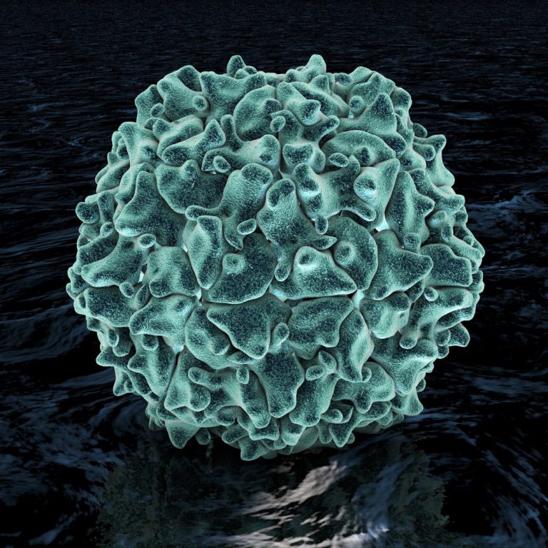 John Enders, Thomas Weller and Frederick Robbins successfully grew poliovirus in live cells