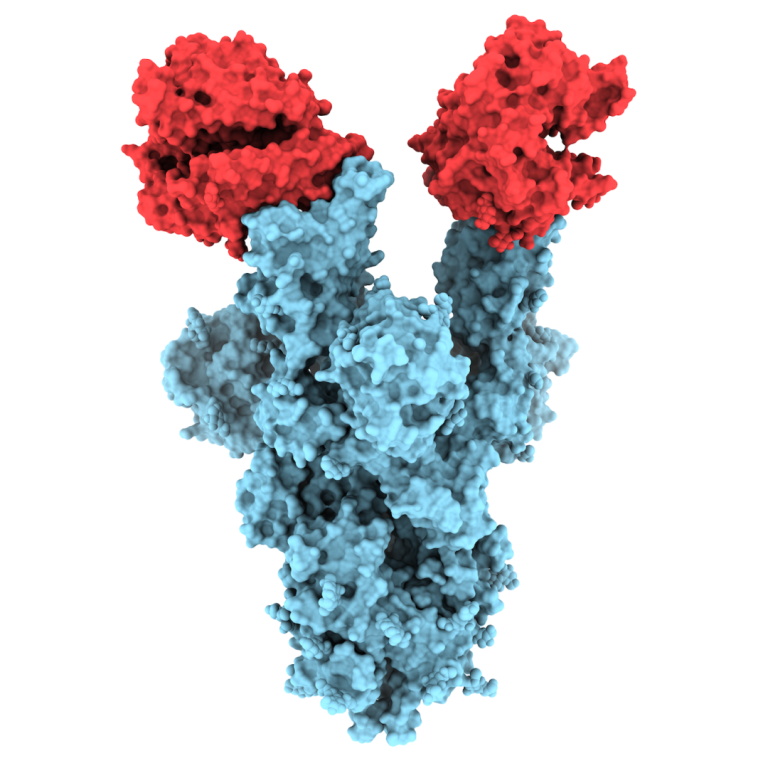 University of British Columbia researchers unveiled first molecular images of B.1.1.7 COVID-19 mutation