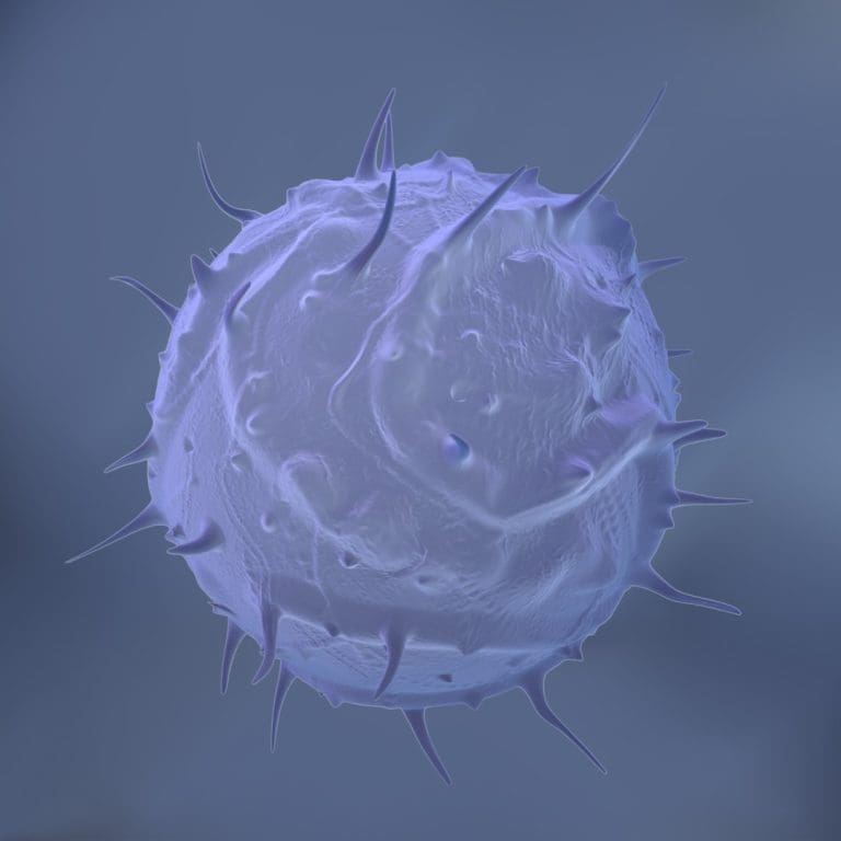 Self-propelled actin filaments: Novel structures driving spontaneous cell morphogenesis