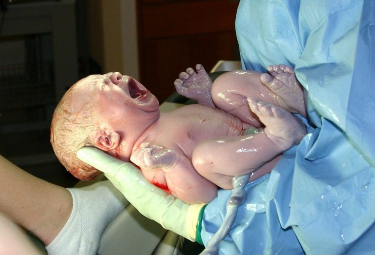 Natural probiotic discovered in newborns microbiomes