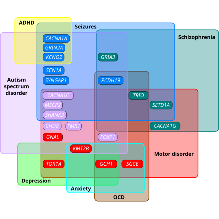 Autism appeared for the first time as a diagnosis in the third edition of the DSM III Diagnostic and Statistical Manual of Mental Disorders