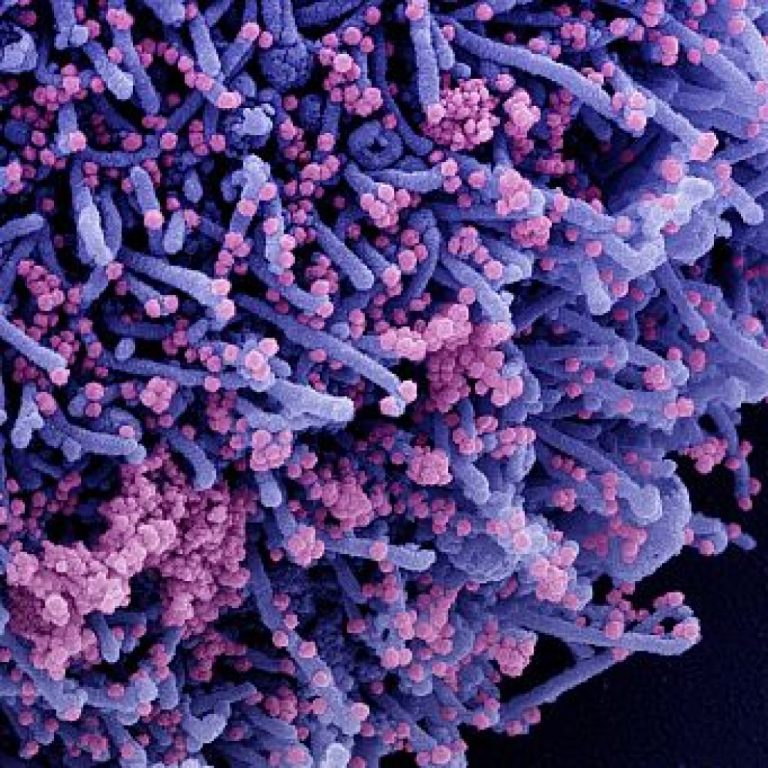 FDA issued an EUA to the Twist Bioscience for their SARS-CoV-2 NGS assay.