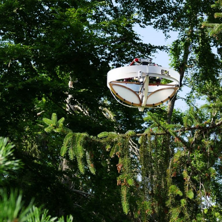 Special drone collects environmental DNA from trees