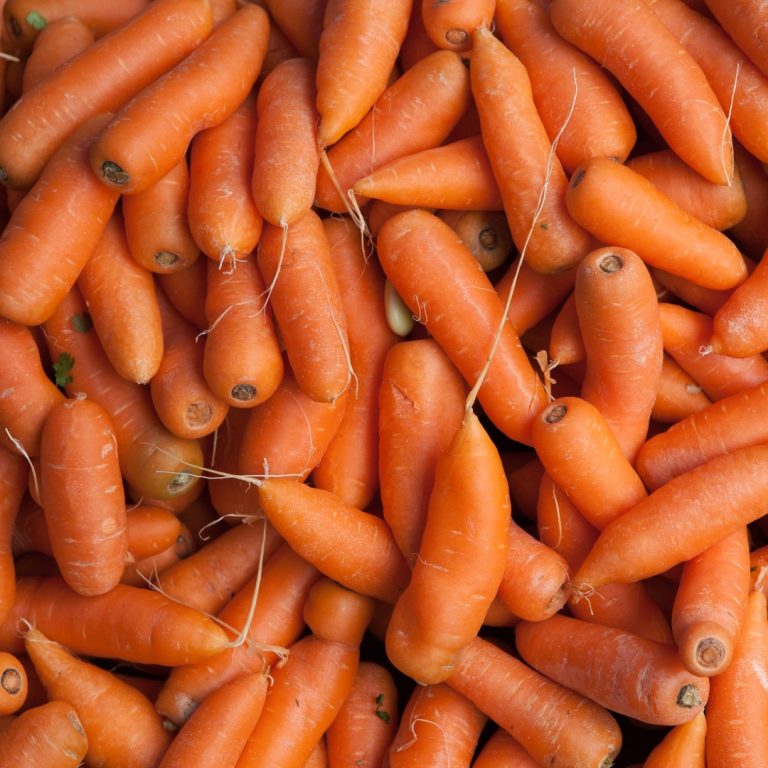 FDA warned Consumers not to eat organic carrots Linked to E. coli Outbreak