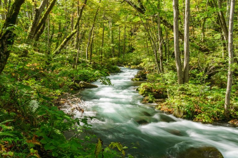 Antibiotics from human use are contaminating rivers worldwide, study shows