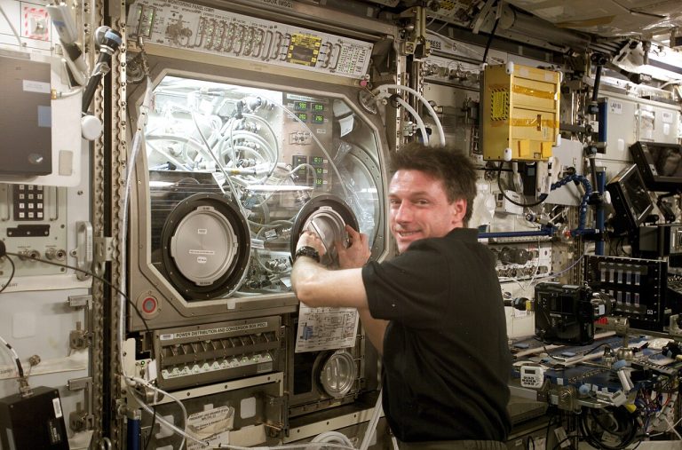 Brain cells remain healthy after month on International Space Station, but matured faster than brain cells on Earth