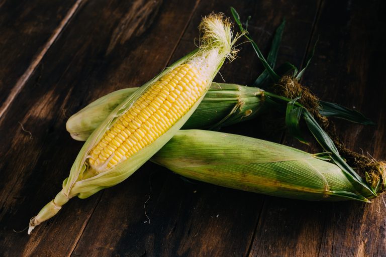 Scientists complete most comprehensive genetic analysis of corn to-date