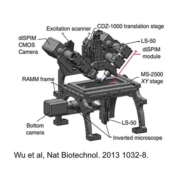 New hybrid custom-designed Microscope Can Image Full 3D Orientation & Position of Molecules in Cells