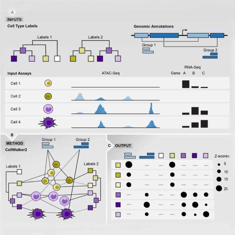From Chaos to Clarity: New Tool Finds Connections in Complex Cell Data