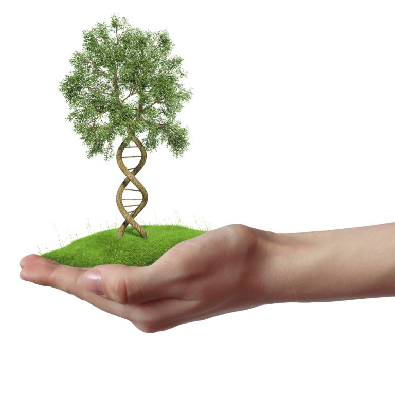Texas A&M and iBio execute development agreement for plant-produced pharmaceuticals