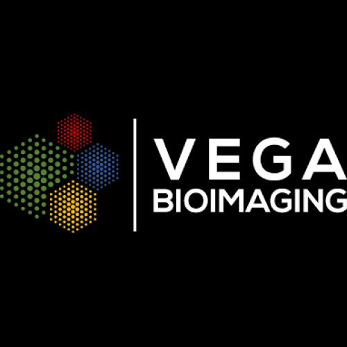 Vega BioImaging
