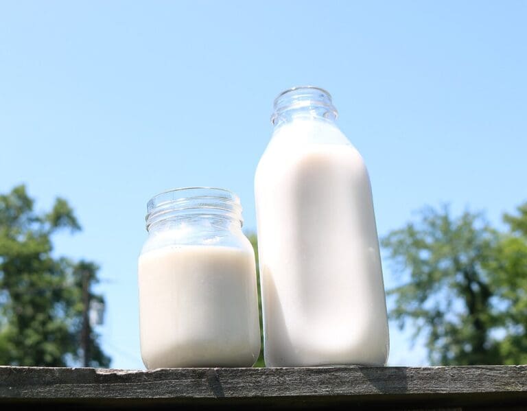 Study Shows Live bird flu virus can survive in raw milk for a week