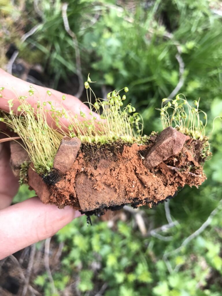 Old air samples hint at effects of climate change