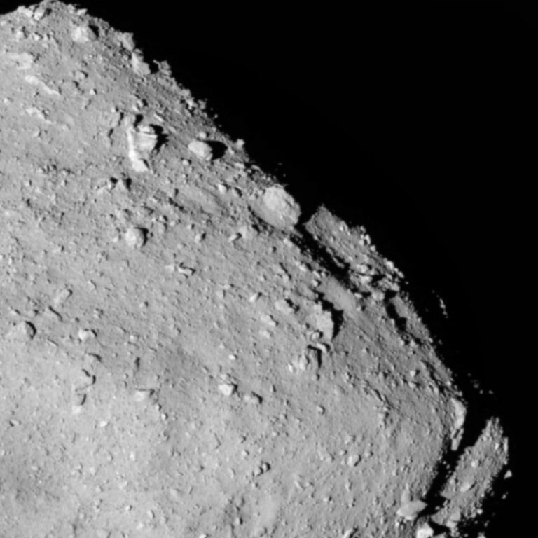 Astrobiologists Find All Five Nucleobases in Asteroid Ryugu