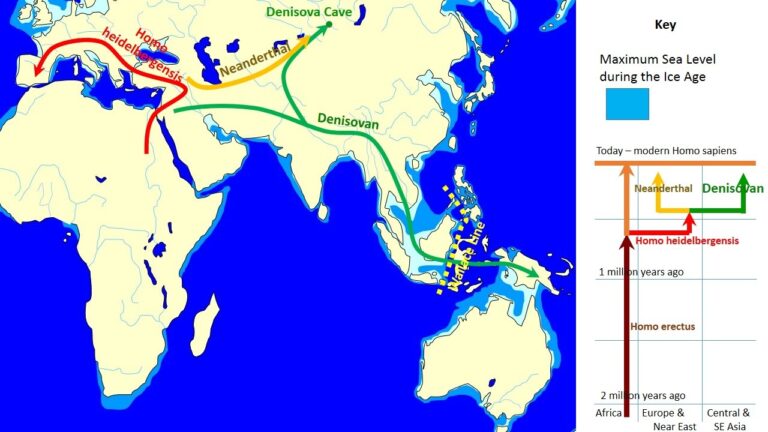 Genomes from Oceania offer new clues to human evolution