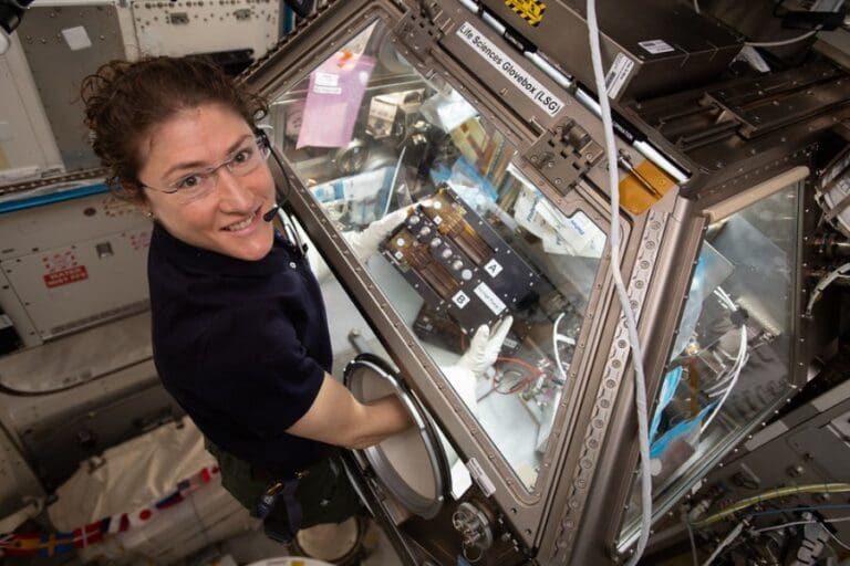 Tissue Chips in Space 2.0 Will Reveal Age-Related Disease Mechanisms and Possible Therapies