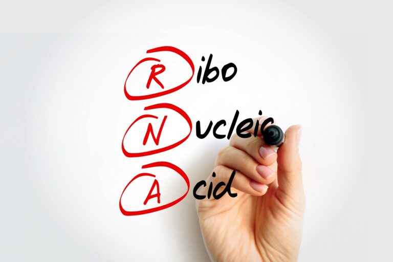 FDA approves Moderna’s New mRNA-based influenza vaccine for adults